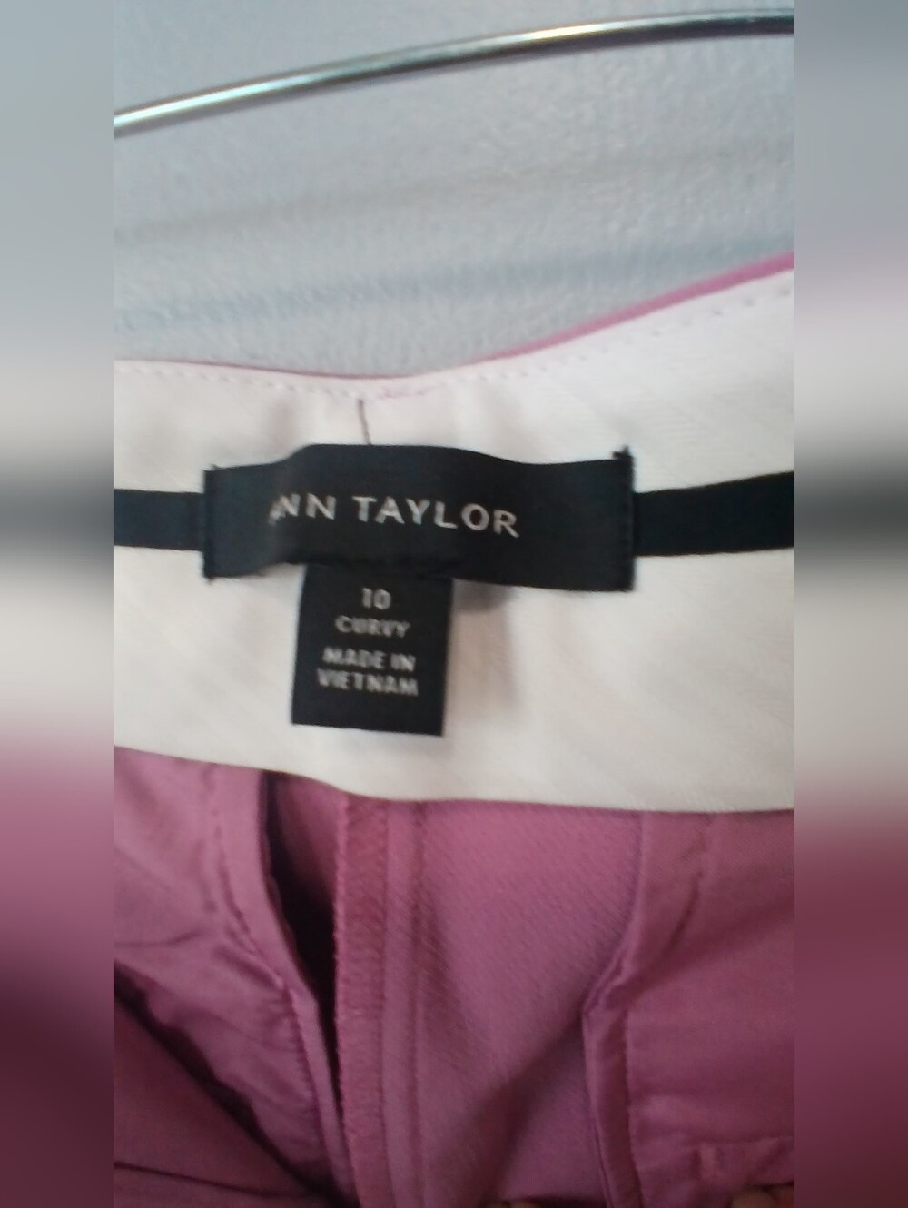 Ann Taylor The Eva Curvy Pants Trousers Women 10 Officewear Business - Picture 4 of 7